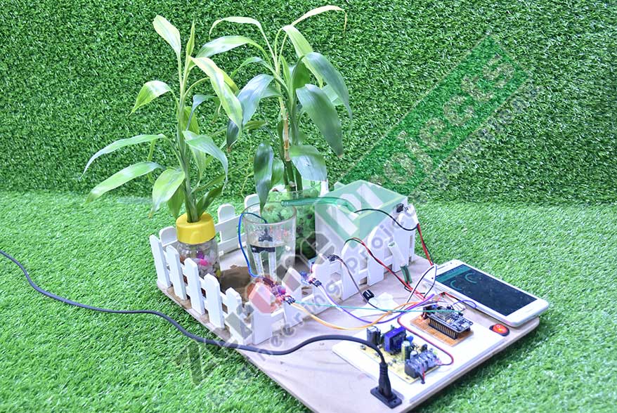Project image